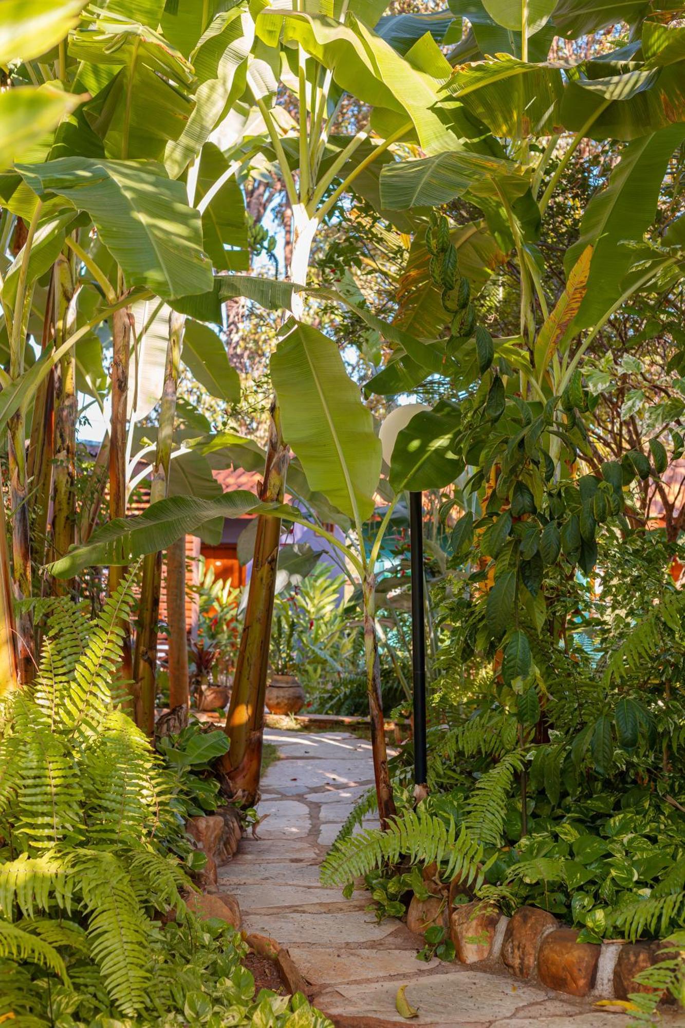 Pouso, Cafe E Cultura Pirenopolis